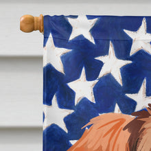 Load image into Gallery viewer, Polish Hound Dog American Flag Flag Canvas House Size CK6652CHF
