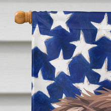 Load image into Gallery viewer, Pont-Audemer Spaniel Dog American Flag Flag Canvas House Size CK6656CHF