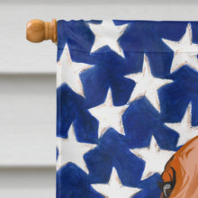Load image into Gallery viewer, Rhodesian Ridgeback Dog American Flag Flag Canvas House Size CK6676CHF