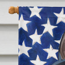 Load image into Gallery viewer, Teddy Roosevelt Terrier American Flag Flag Canvas House Size CK6735CHF