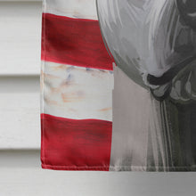 Load image into Gallery viewer, Thai Ridgeback American Flag Flag Canvas House Size CK6738CHF