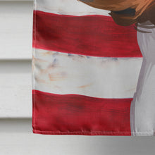 Load image into Gallery viewer, Treeing Walker Coonhound American Flag Flag Canvas House Size CK6746CHF