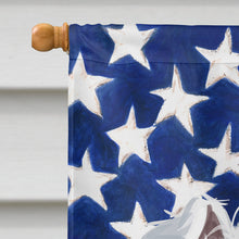 Load image into Gallery viewer, Xiasi Quan American Flag Flag Canvas House Size CK6759CHF