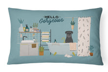 Load image into Gallery viewer, Black Standard Schnauzer in Bathtub Canvas Fabric Decorative Pillow CK7454PW1216