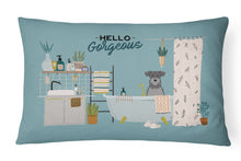 Load image into Gallery viewer, Black Silver Miniature Schnauzer in Bathtub Canvas Fabric Decorative Pillow CK7474PW1216
