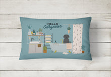 Load image into Gallery viewer, Black Labrador in Bathtub Canvas Fabric Decorative Pillow CK7479PW1216