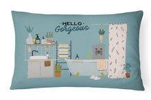 Load image into Gallery viewer, Grey Glen of Imal in Bathtub Canvas Fabric Decorative Pillow CK7481PW1216