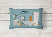Load image into Gallery viewer, Irish Setter in Bathtub Canvas Fabric Decorative Pillow CK7486PW1216
