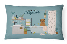 Load image into Gallery viewer, Brown Briard in Bathtub Canvas Fabric Decorative Pillow CK7504PW1216