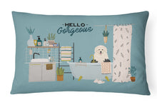 Load image into Gallery viewer, Old English Sheepdog in Bathtub Canvas Fabric Decorative Pillow CK7518PW1216