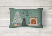 Load image into Gallery viewer, Black Russian Terrier Christmas Everyone Canvas Fabric Decorative Pillow CK7589PW1216