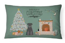 Load image into Gallery viewer, Black Standard Schnauzer Christmas Everyone Canvas Fabric Decorative Pillow CK7595PW1216