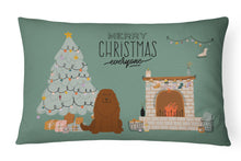 Load image into Gallery viewer, Caucasian Shepherd Dog Christmas Everyone Canvas Fabric Decorative Pillow CK7613PW1216