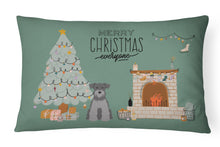 Load image into Gallery viewer, Black Silver Miniature Schnauzer Christmas Everyone Canvas Fabric Decorative Pillow CK7615PW1216