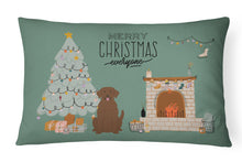 Load image into Gallery viewer, Chocolate Labrador Christmas Everyone Canvas Fabric Decorative Pillow CK7619PW1216