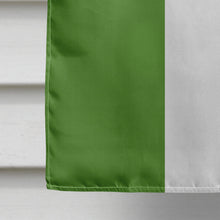 Load image into Gallery viewer, Genderqueer Pride Flag Canvas House Size