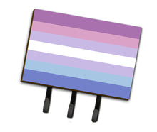 Load image into Gallery viewer, Bigender Pride Leash or Key Holder