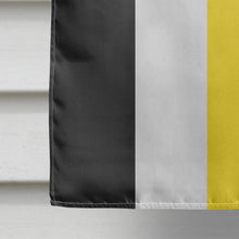 Load image into Gallery viewer, Lithsexual Pride Flag Canvas House Size