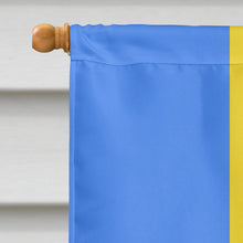 Load image into Gallery viewer, Pansexual Pride Flag Canvas House Size