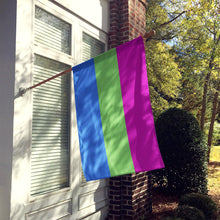 Load image into Gallery viewer, Polisexual Pride Flag Canvas House Size