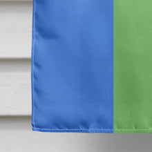 Load image into Gallery viewer, Polisexual Pride Flag Canvas House Size