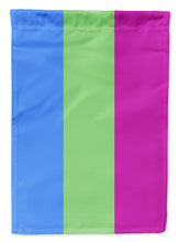 Load image into Gallery viewer, Polisexual Pride Flag Canvas House Size