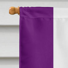 Load image into Gallery viewer, Asexual Pride Flag Canvas House Size