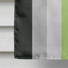 Load image into Gallery viewer, Agender Pride Flag Canvas House Size