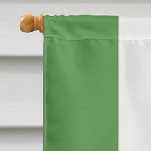 Load image into Gallery viewer, Androphilia Pride Flag Canvas House Size