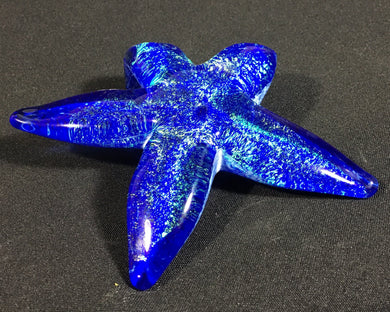 Shimmering Ocean Starfish