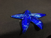 Load image into Gallery viewer, Shimmering Ocean Starfish