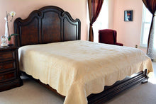 Load image into Gallery viewer, Tache Super Soft Cream Scalloped Good Vibration Quilted Fleece Bedspread Set (DXJ109041-3)