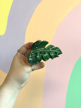 Load image into Gallery viewer, Monstera Hair Claw