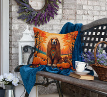Load image into Gallery viewer, Afghan Hound Fall Fabric Decorative Pillow
