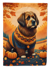 Load image into Gallery viewer, Briard Fall Garden Flag – Dog Surrounded by Pumpkins &amp; Autumn Leaves