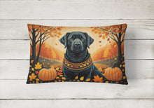 Load image into Gallery viewer, Black Labrador Retriever Fall Fabric Decorative Pillow