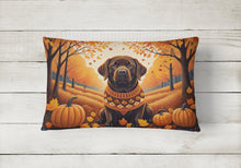 Load image into Gallery viewer, Chocolate Labrador Retriever Fall Fabric Decorative Pillow