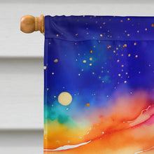 Load image into Gallery viewer, California Poppies in Color House Flag
