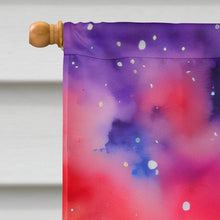 Load image into Gallery viewer, Gypsophila in Color House Flag