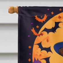Load image into Gallery viewer, Airedale Terrier Witchy Halloween House Flag