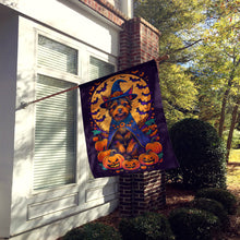 Load image into Gallery viewer, Australian Terrier Witchy Halloween House Flag