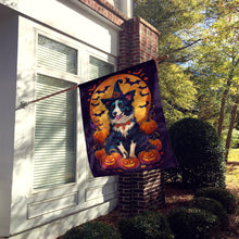 Load image into Gallery viewer, Border Collie Witchy Halloween House Flag
