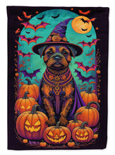 Load image into Gallery viewer, Border Terrier Witchy Halloween Garden Flag – Witch Dog with Pumpkins, Bats &amp; Jack-o'-Lanterns
