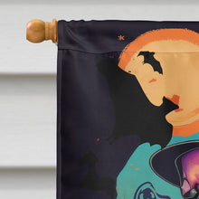 Load image into Gallery viewer, Boston Terrier Witchy Halloween House Flag