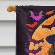 Load image into Gallery viewer, Boykin Spaniel Witchy Halloween House Flag