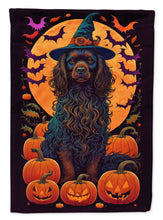 Load image into Gallery viewer, Boykin Spaniel Witchy Halloween House Flag