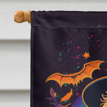 Load image into Gallery viewer, Cocker Spaniel Witchy Halloween House Flag
