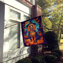 Load image into Gallery viewer, Apricot Standard Poodle Witchy Halloween House Flag