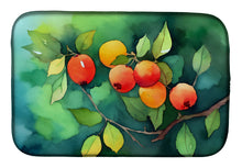 Load image into Gallery viewer, Missouri Hawthorns in Watercolor Dish Drying Mat
