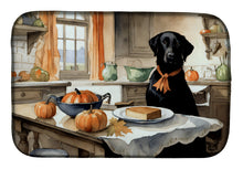 Load image into Gallery viewer, Black Lab Fall Kitchen Pumpkins Dish Drying Mat